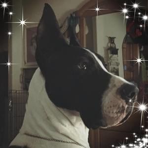 Meet your Posher, Melanie